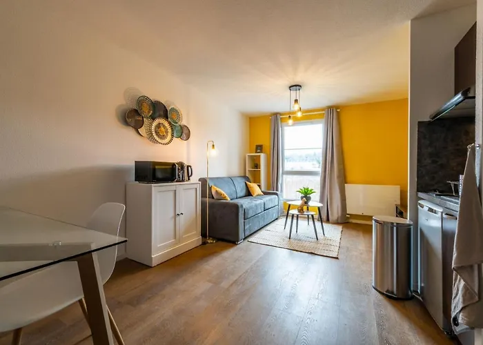 ☆le Soleil De La Fonderie☆fibre Parking☆pmr☆rbnb☆ Mulhouse